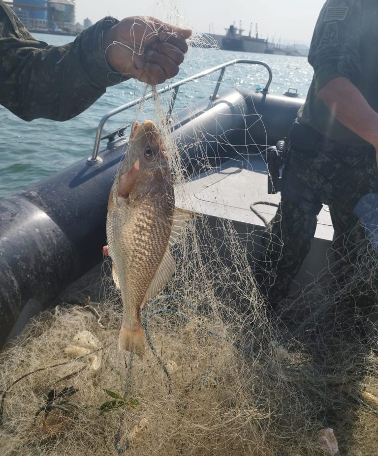 Redes de pesca são apreendidas no Canal do Porto de Santos