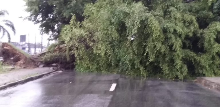 Temporal causa impactos na Baixada Santista