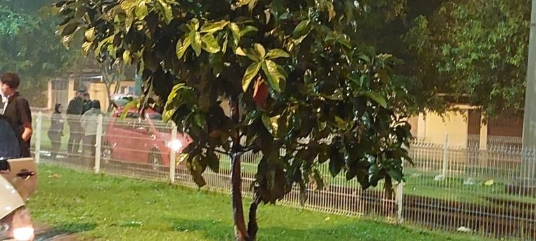 Carro invade trilhos do VLT no Litoral