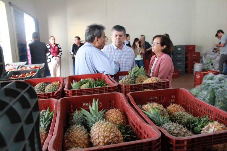 Primeira entrega do PAA 2023 distribui mais de 5 toneladas de alimentos