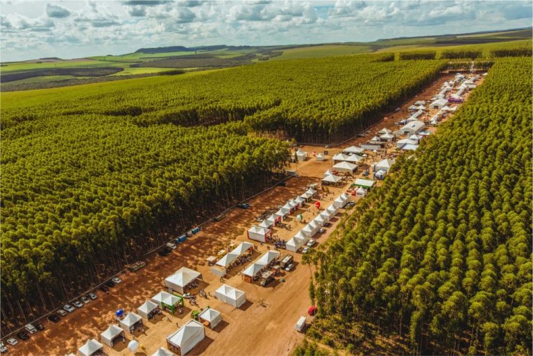 Expoforest 2023 | A maior feira florestal dinâmica do mundo chega à quinta edição