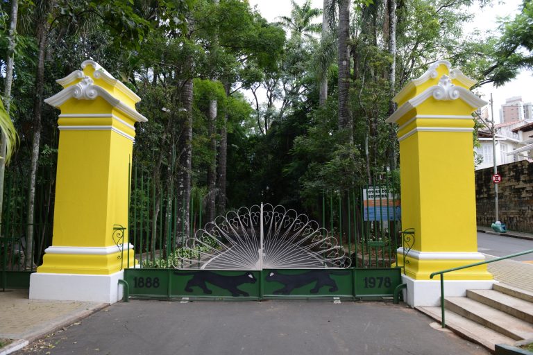 Prefeitura de Campinas vai retirar mais 23 árvores do Bosque dos Jequitibás