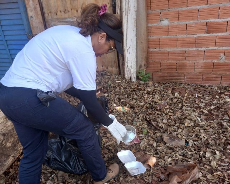 Mutirão contra a dengue recolhe mais de 3.600 quilos de possíveis criadouros