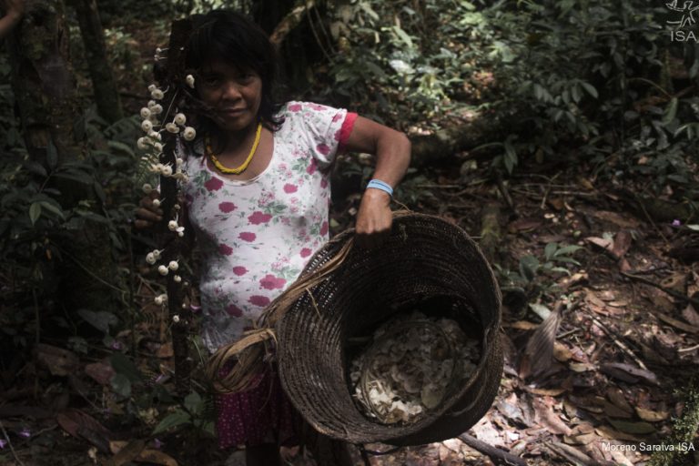 Deputada do PL afirma que ongs estariam financiando a fome dos Yanomamis