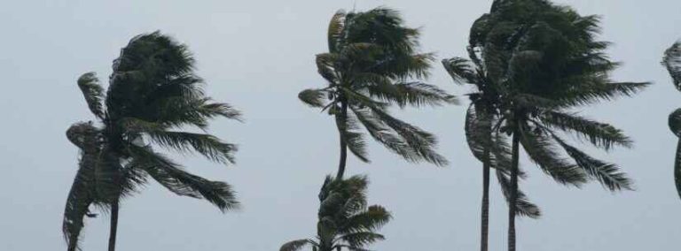 ventos fortes litoral norte