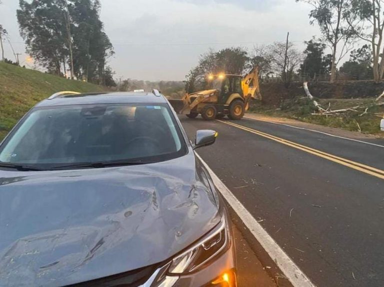 Família tem carro atingido por árvore durante vendaval em Araçatuba