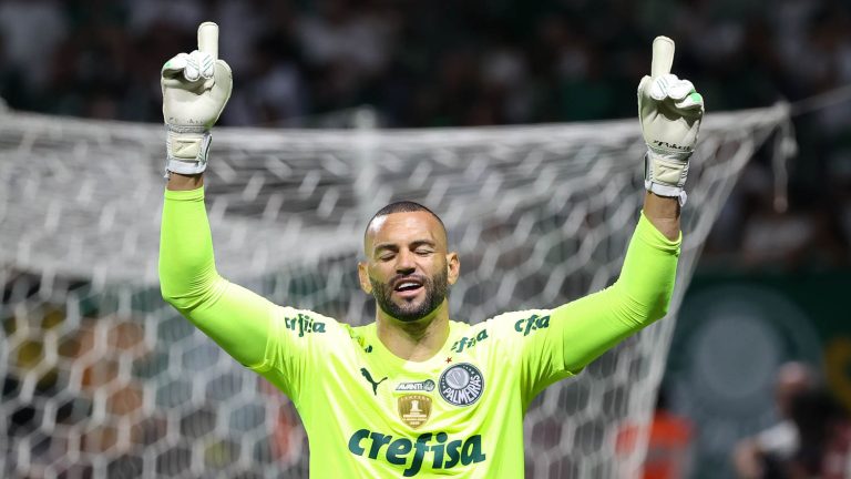 Goleiro do Palmeiras está prestes a se tornar piloto de avião