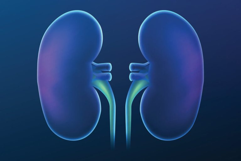 7 dúvidas comuns sobre doação de rins