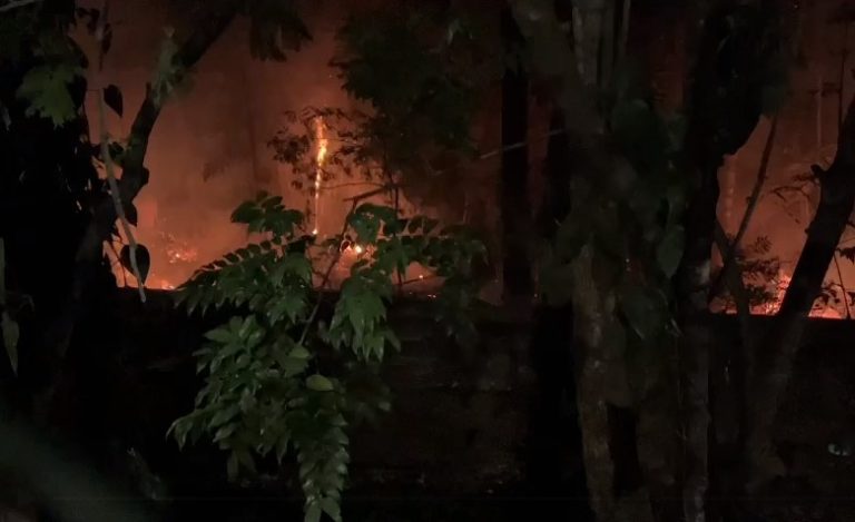 Ato de vandalismo provoca incêndio no parque do Taquaral