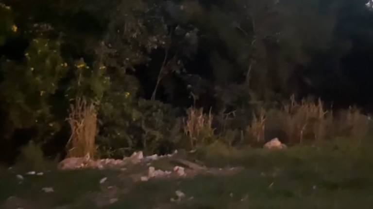 Homem é encontrado morto em horta de Campinas