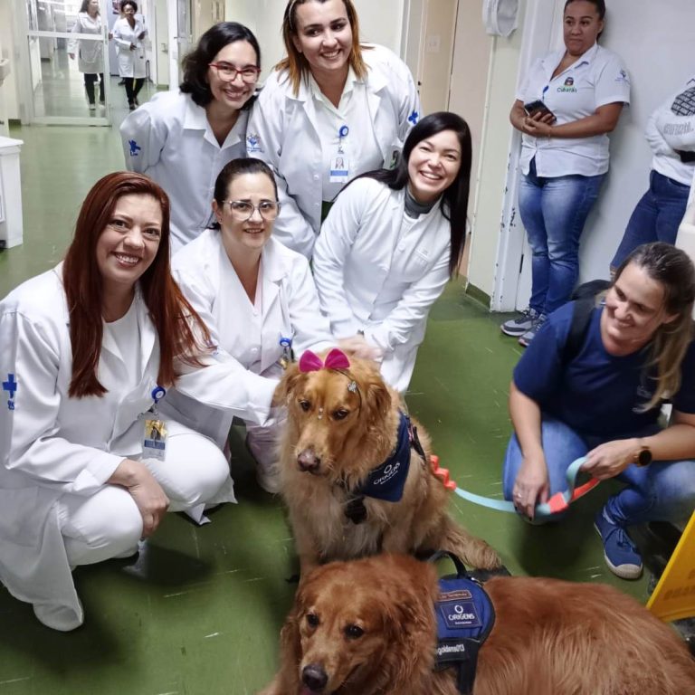 ‘Pet terapia’ avança na recuperação de pacientes do Hospital de Cubatão