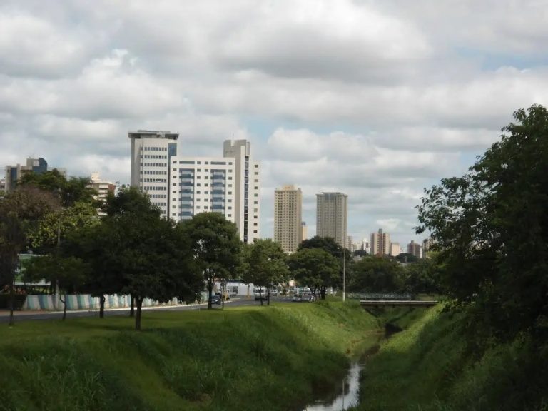 Vídeo flagra a extração de árvores na avenida Maurílio Biagi; ciclovia será construída