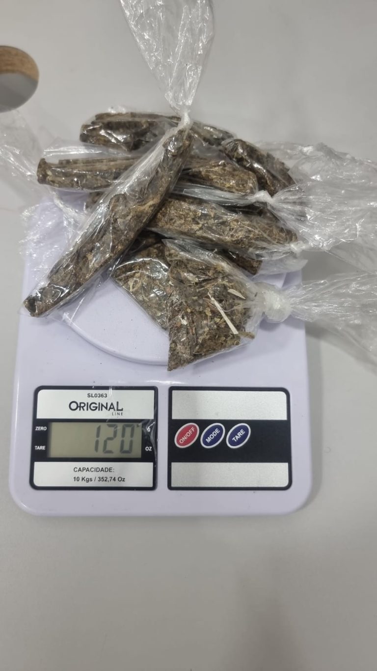 Homem é preso dentro de casa o Litoral com porções de drogas e “flor que não se cheira”