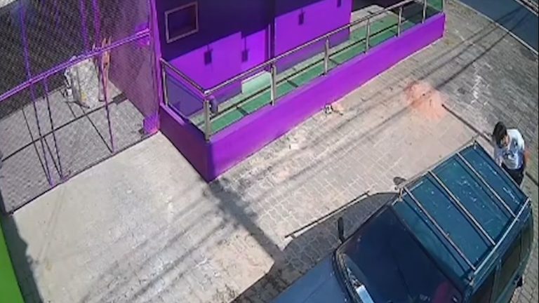 Câmeras flagram ladrão furtando ferramentas de um carro estacionado em Campinas