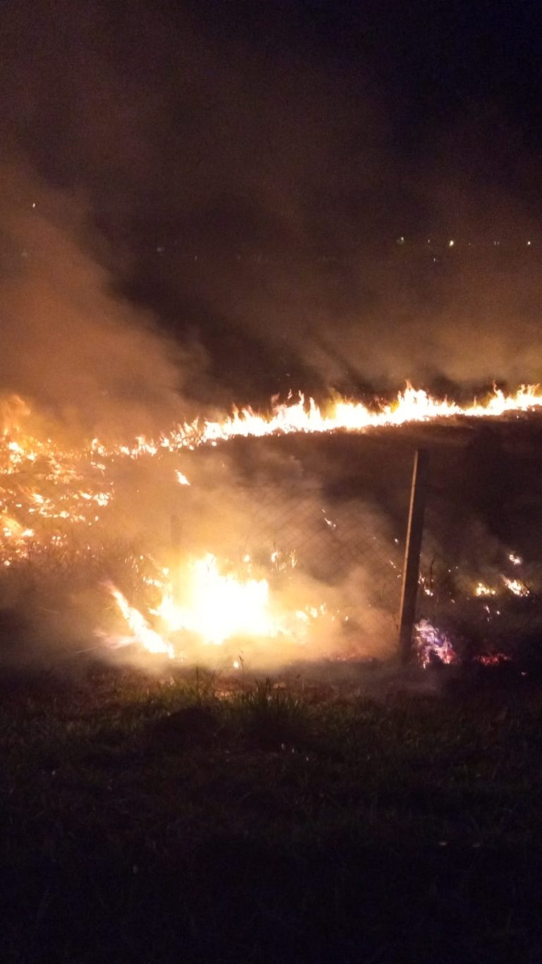 área de 2 mil metros queimada taubaté