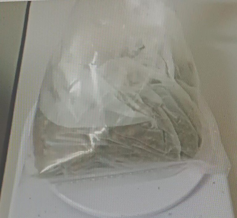 Mulher é presa tentando entrar com drogas em penitenciária de Mirandópolis