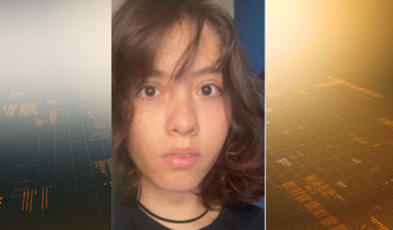 Polícia Civil identifica suspeito de matar Camilly Vithória