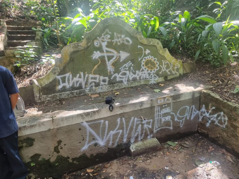 Jovens são flagrados vandalizando o Bosque dos Jequitibás, em Campinas