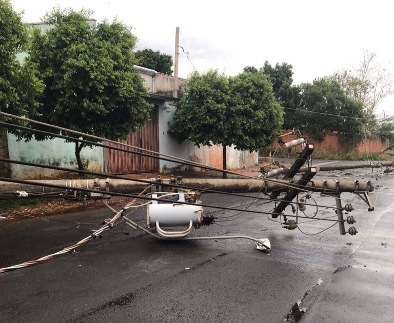 Árvore cai e moradores aguardam há 12 horas pelo retorno da energia na zona Norte de Ribeirão