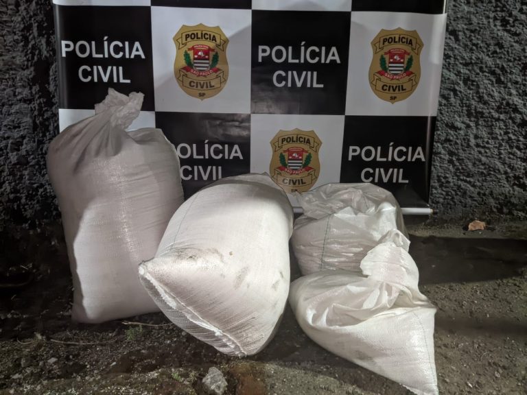 Homem é preso e menor é apreendido com sacas de soja furtadas em Cubatão