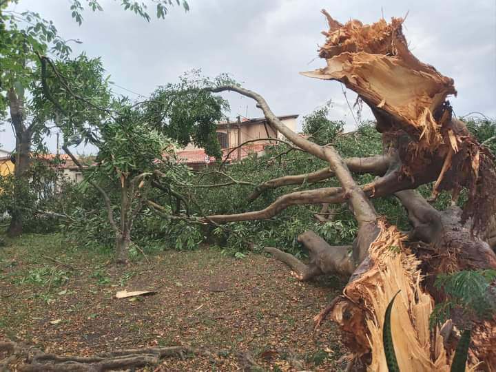 ocorrências temporal edp vale