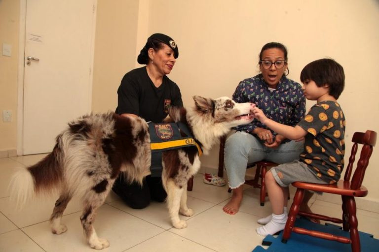 Pessoas com TEA contam com ajuda dos cães da Guarda de Santos durante o tratamento