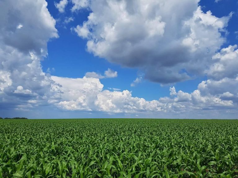 Proprietários de áreas rurais têm até o final de setembro para declarar o ITR