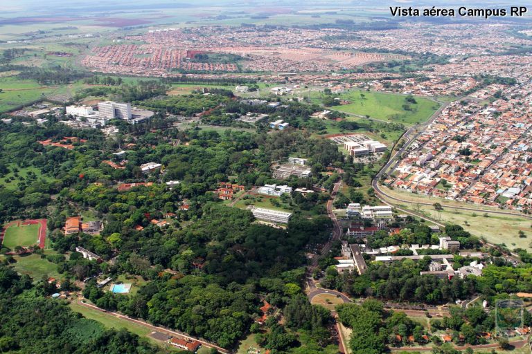 Ranking internacional tem mais de 200 cientistas da USP em destaque