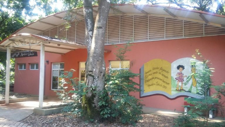 No Bosque dos Italianos, biblioteca celebra o Dia das Crianças com programação especial
