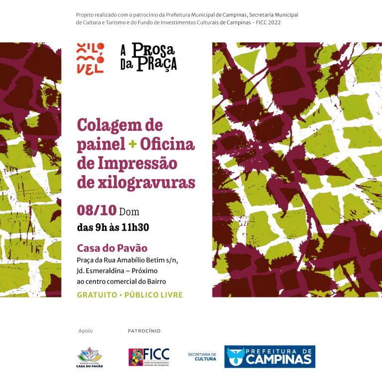 Painéis em lambe-lambe circulam em bairros de Campinas