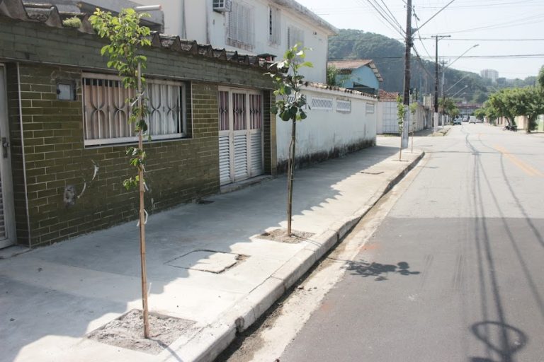 Plantio de 1283 árvores em homenagem a Pelé em Santos é concluída