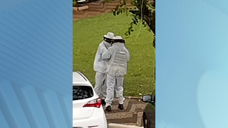 Ataque de abelhas deixa feridos em Mogi Guaçu