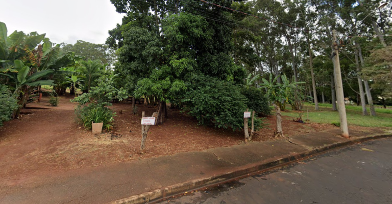 Durante serviço do SAERP, profissionais encontram feto jogado na calçada