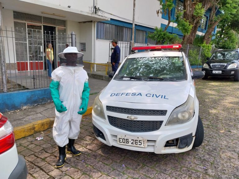 Escola é evacuada após um ataque de abelhas em Monte Mor