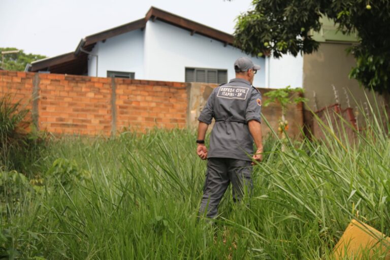 Flagrante inusitado: Onça parda é vista em bairros de Itapira