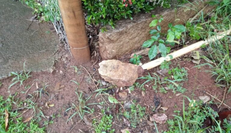 Homem é morto a pedradas após discussão em Holambra