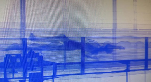 Interpol é acionada pela Polícia Federal para investigar o caso do corpo dentro de contêiner no Porto de Santos