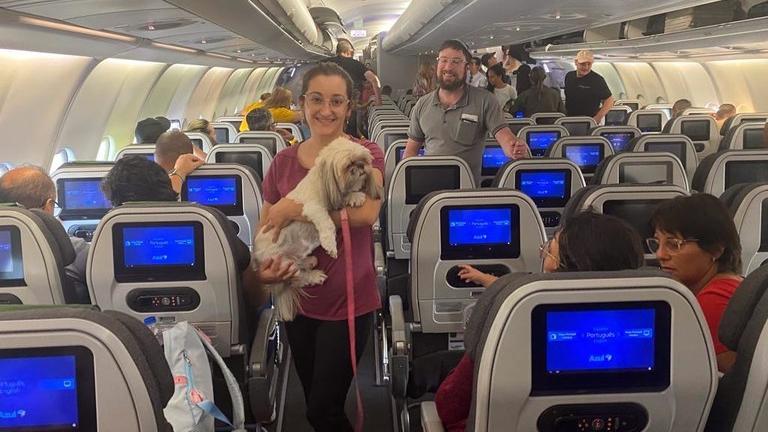 Segundo voo da FAB vindo de Israel chega ao RJ com 214 brasileiros, três gatos e um cão