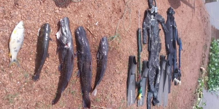 Pescadores são autuados por pesca ilegal; multa chega a R$ 4.5 mil