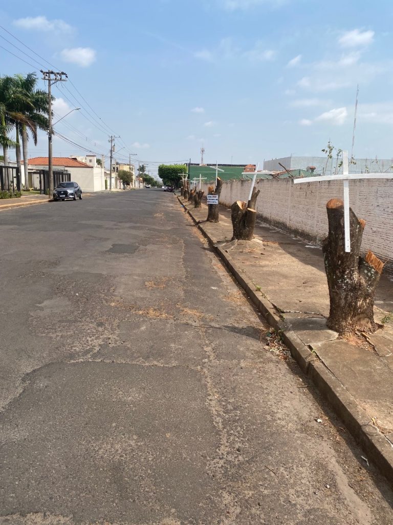 Prefeito Dilador, mas o sobrenome é lenhador