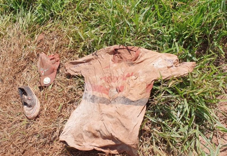 ossada humana jacareí