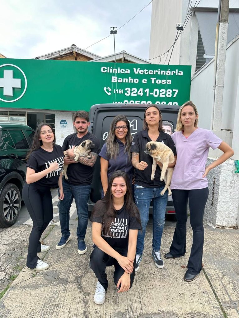 Cães são resgatados em situação de maus-tratos em Campinas