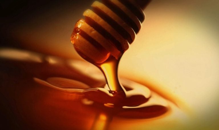 Especial: uma “doce expedição” pela Amazônia