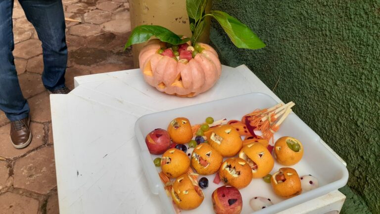 Que susto, bicho! Bosque de Ribeirão promove Halloween com os animais do zoológico