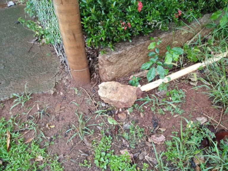 Homicídio em Holambra é o primeiro caso desde 2020