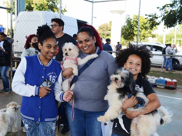Campinas abre mil vagas para castração gratuita na região do DIC