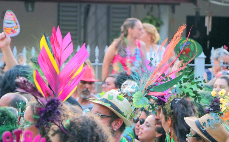 Bloco do Cupinzeiro apresenta tema do carnaval 2024 em “ocupação cultural” em Barão Geraldo