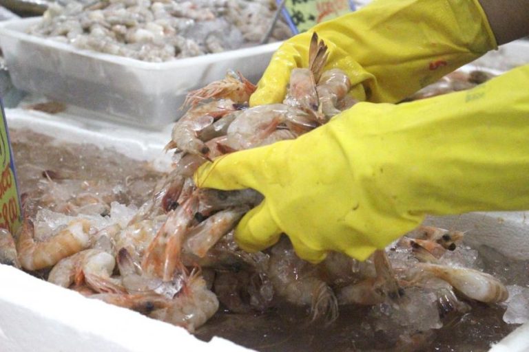 Festival Camarão Cinza chega para movimentar o Mercado de Peixes de Santos e com descontos