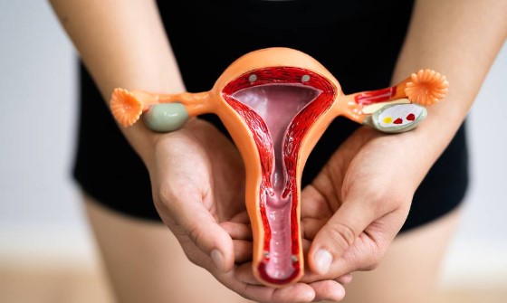 Outubro Rosa também reforça o alerta contra o câncer de colo de útero