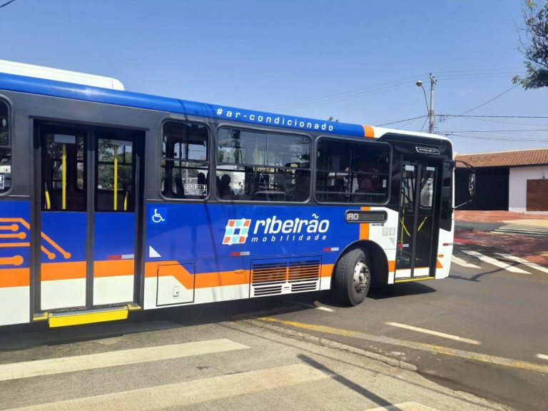 ônibus com ar-condicionado e alterações no trânsito movimentam a Romaria de Nossa Senhora Aparecida